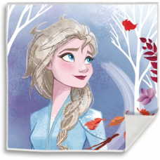 Prosopel magic Frozen Elsa 30x30 cm SunCity EWA21066WDA